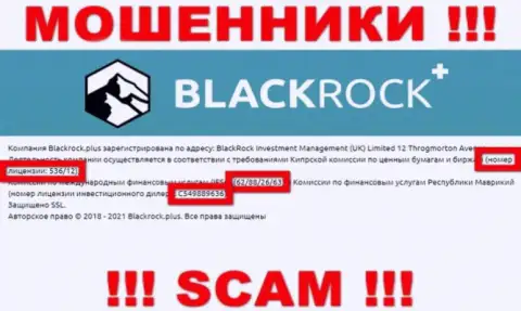 BlackRock Plus прячут свою жульническую суть, представляя на своем информационном ресурсе лицензию
