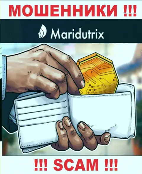 Крипто-кошелек - конкретно в указанной сфере прокручивают делишки профессиональные интернет-разводилы Maridutrix