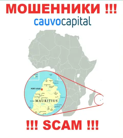 Контора CauvoCapital Com похищает депозиты клиентов, расположившись в офшоре - Mauritius