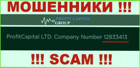 Регистрационный номер Profit Capital Group, который представлен мошенниками у них на сайте: 12833413