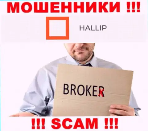 Сфера деятельности internet мошенников Hallip Com - это Broker, но имейте ввиду это разводняк !!!