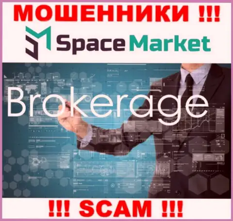 Направление деятельности противоправно действующей конторы Space Market - это Broker
