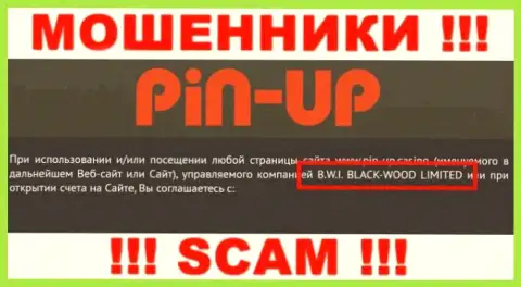 Лохотронщики Pin-Up Casino принадлежат юридическому лицу - B.W.I. BLACK-WOOD LIMITED
