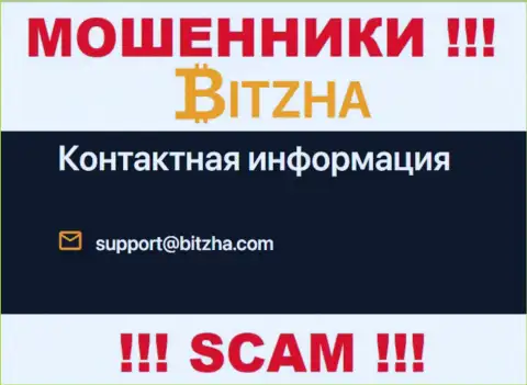 E-mail мошенников Bitzha, информация с официального сайта