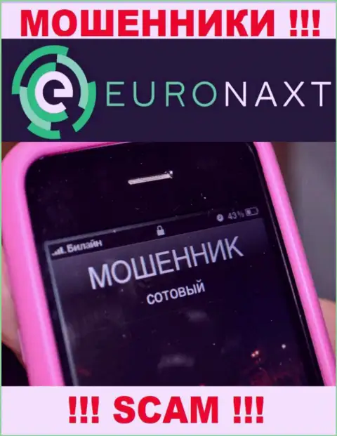 Вас намерены развести на деньги, EuroNax в поисках очередных жертв