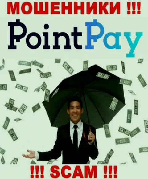 Не попадите на удочку интернет-мошенников PointPay Io, вложенные деньги не вернете