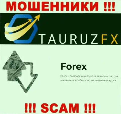 Forex - это то, чем промышляют воры ТаурузФХ
