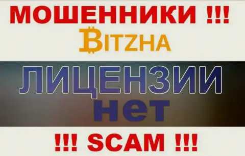 Мошенникам Bitzha24 Com не выдали лицензию на осуществление деятельности - отжимают деньги