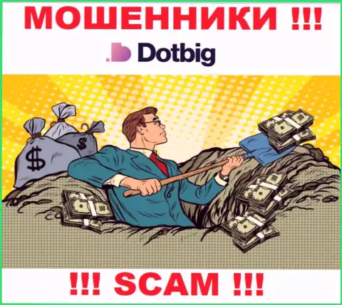 DotBig действует лишь на ввод денег, исходя из этого не надо вестись на дополнительные финансовые вложения