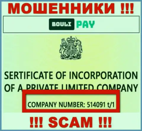 Номер регистрации Bouli Pay возможно и фейковый - 514091 t/1