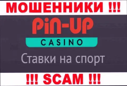 Основная деятельность PinUp Casino - это Казино, будьте крайне внимательны, работают преступно