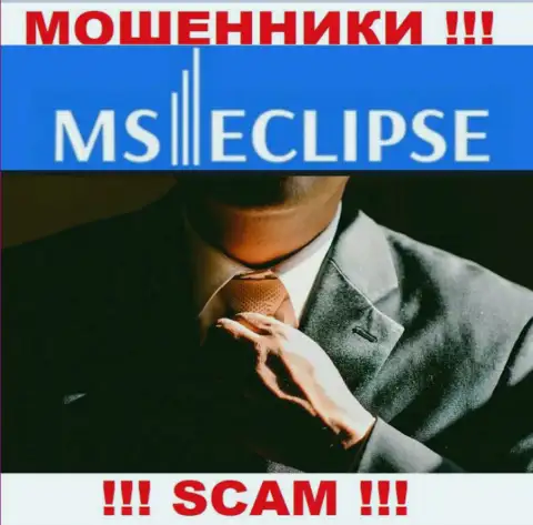 Сведений о лицах, руководящих MSEclipse Com в инете разыскать не получилось