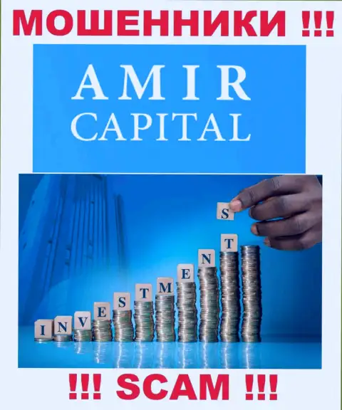 Не отдавайте накопления в AmirCapital, тип деятельности которых - Инвестирование
