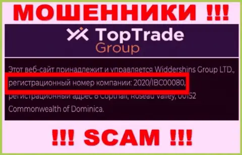 Регистрационный номер TopTrade Group - 2020/IBC00080 от слива денег не спасает