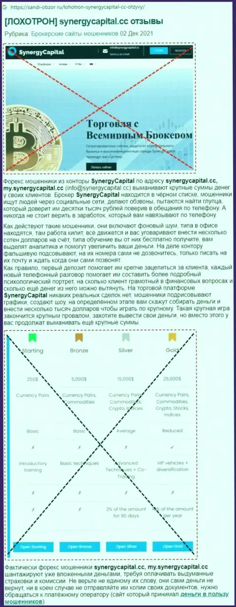Обзор Synergy Capital с описанием признаков противоправных действий